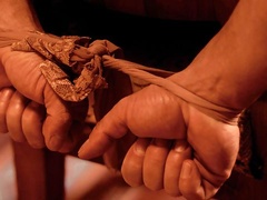 Glamorous blonde in stockings Christina Shine nailed from behind