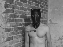 The Toy Stables - TacAmateurs